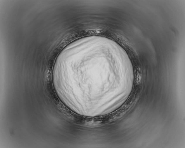 X0000113040561200909241437