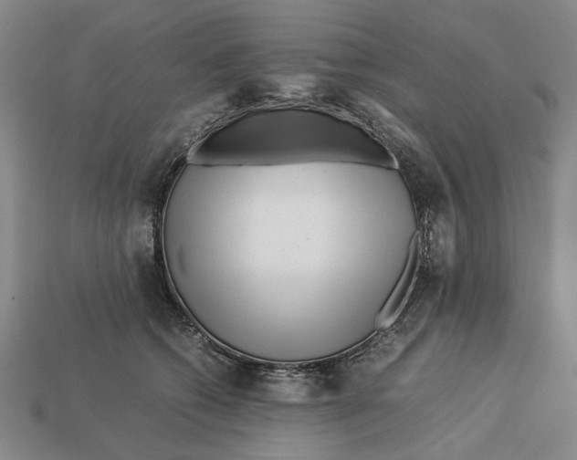 X0000113040562200909241437
