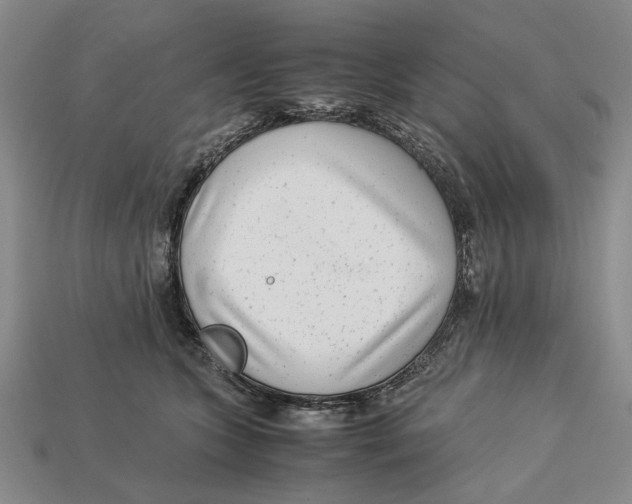 X0000113040563200909241437