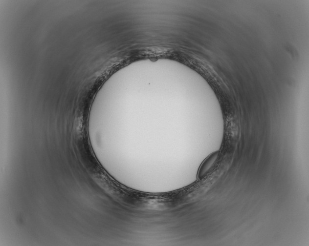 X0000113040564200909241437