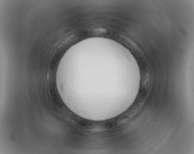 X0000113040565200909241437