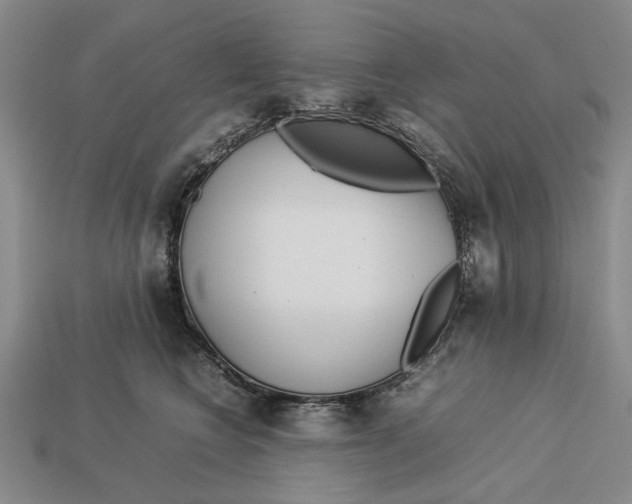 X0000113040566200909241437