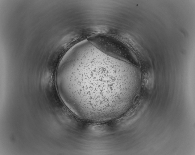 X0000113040568200909241437