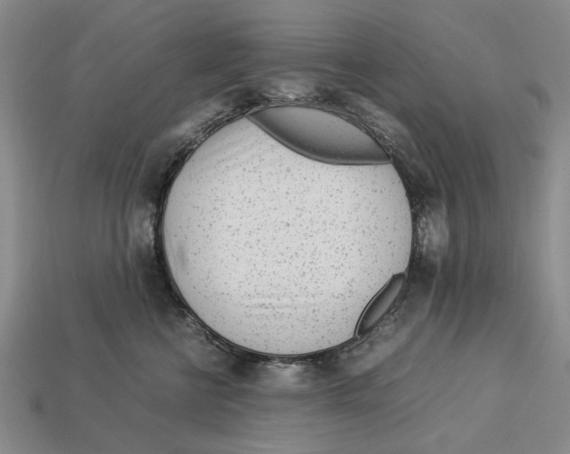 X0000113040570200909241437