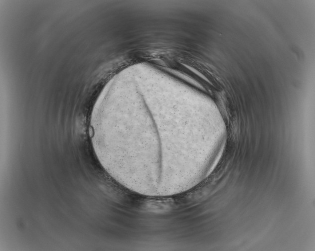 X0000113040571200909241437
