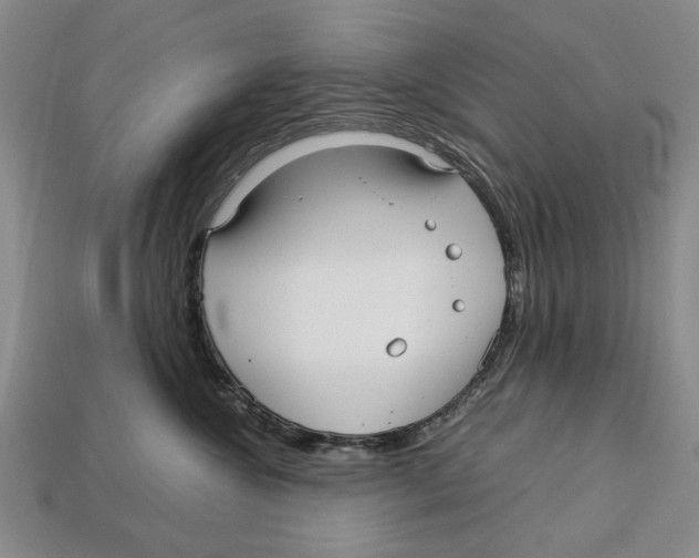 X0000113040572200909241437