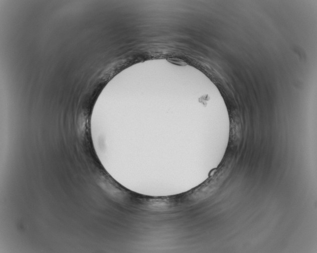 X0000113040574200909241437