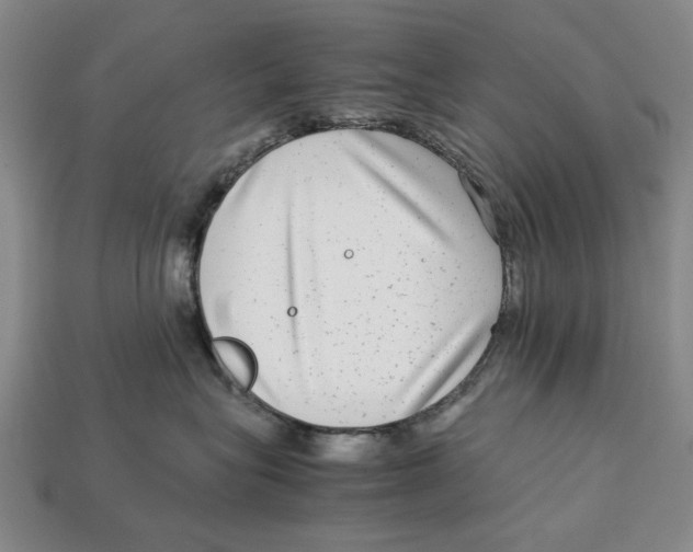X0000113040575200909241437