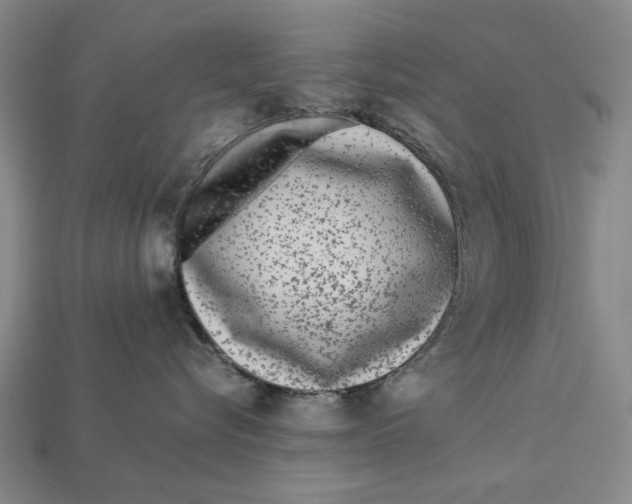 X0000113040576200909241437