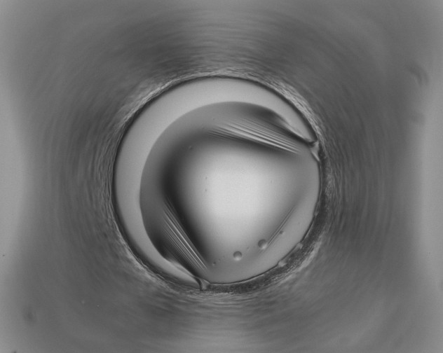 X0000113040577200909241436