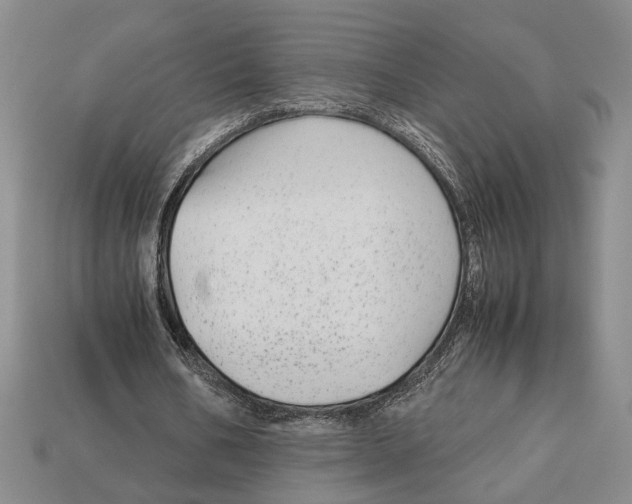 X0000113040578200909241436