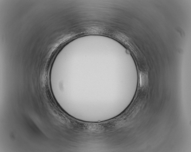 X0000113040579200909241436