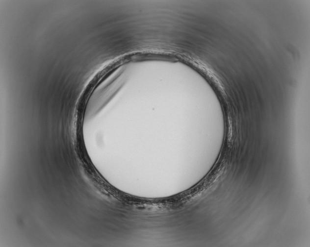 X0000113040580200909241436