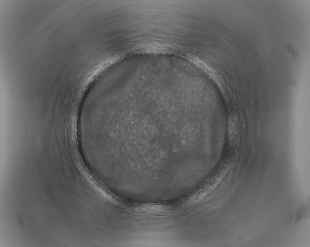 X0000113040581200909241436