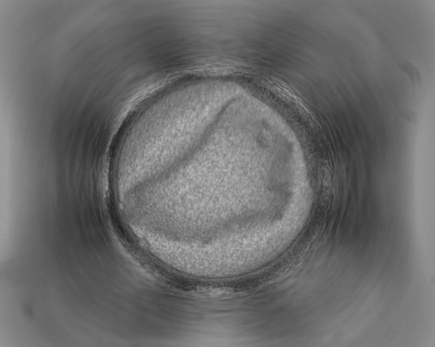 X0000113040582200909241436