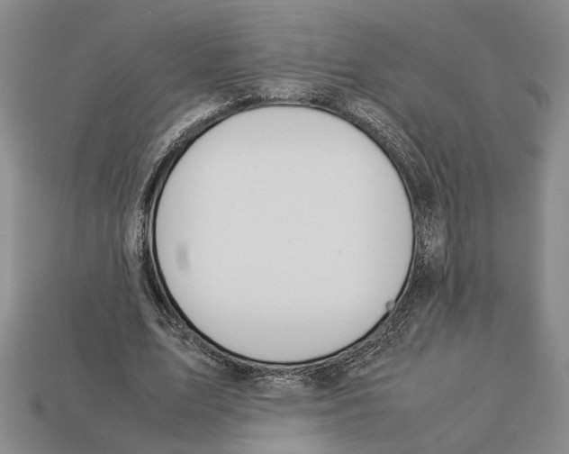 X0000113040583200909241436