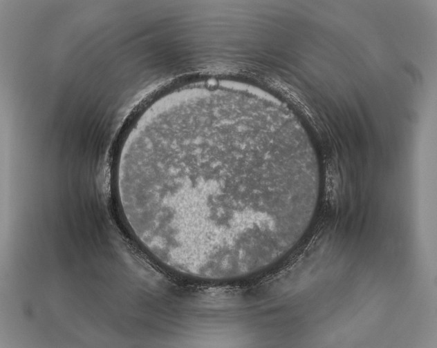 X0000113040584200909241436