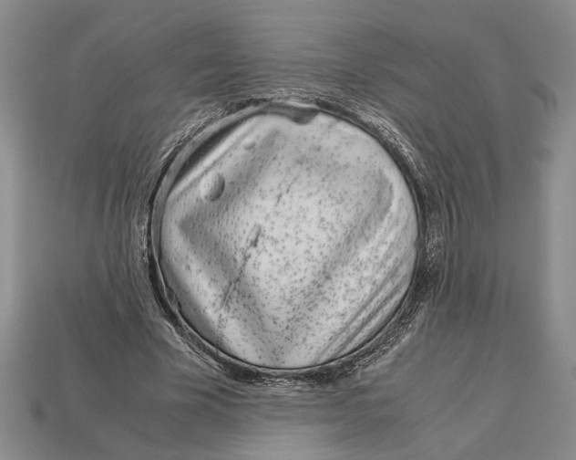 X0000113040585200909241436