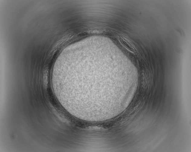 X0000113040586200909241436