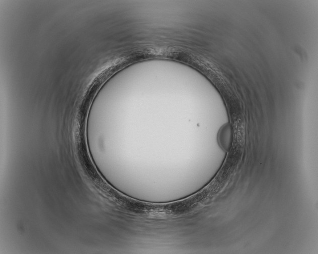 X0000113040587200909241436