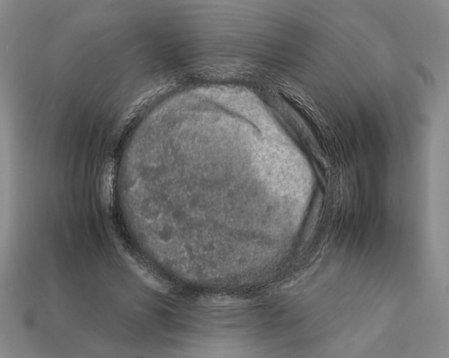 X0000113040590200909241436