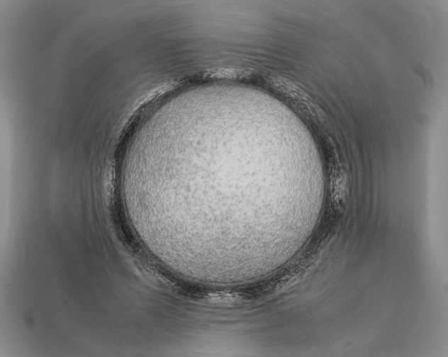 X0000113040591200909241436