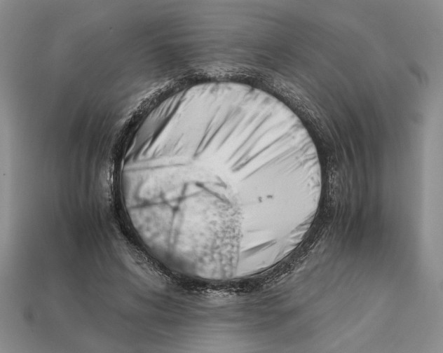 X0000113040592200909241436