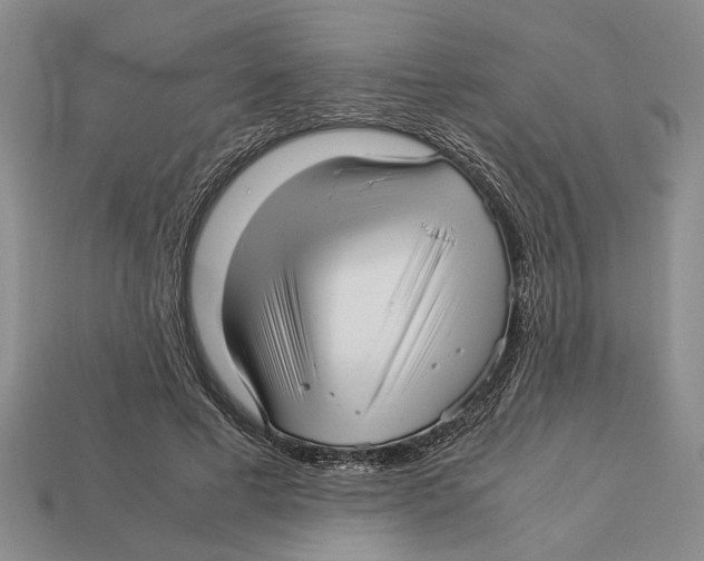 X0000113040593200909241436