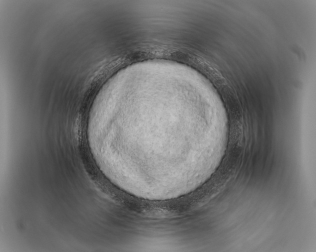 X0000113040594200909241436
