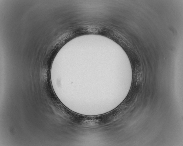 X0000113040595200909241436