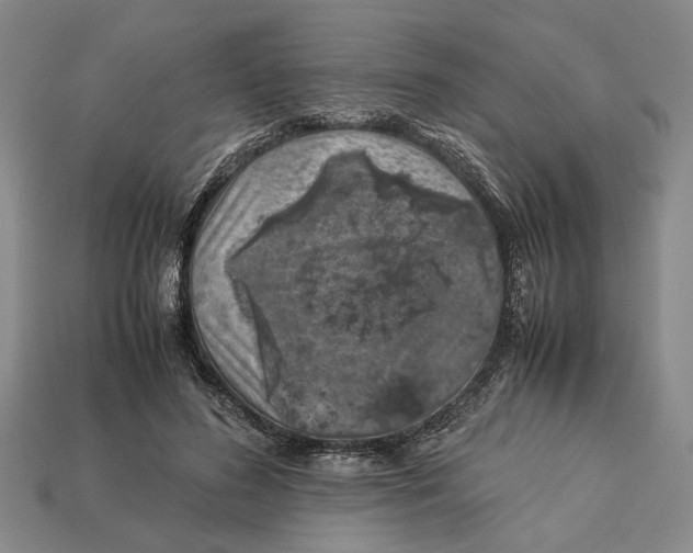 X0000113040596200909241436