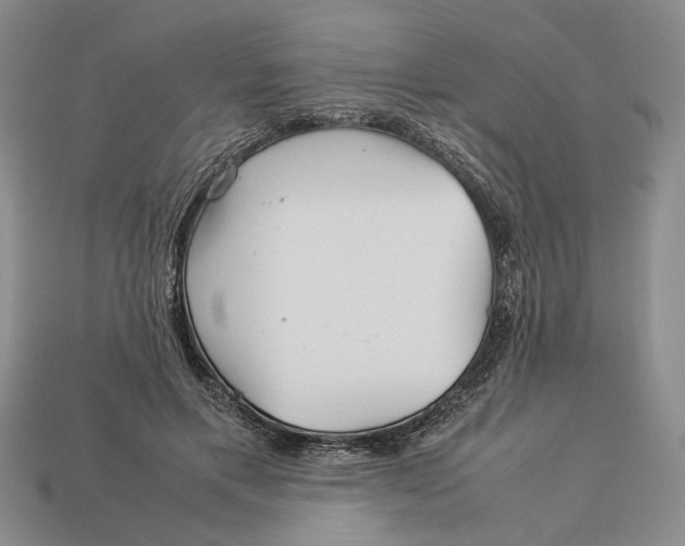 X0000113040597200909241436