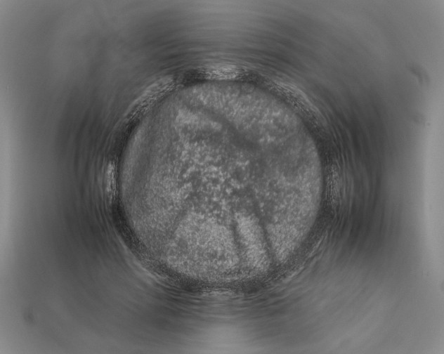 X0000113040598200909241436