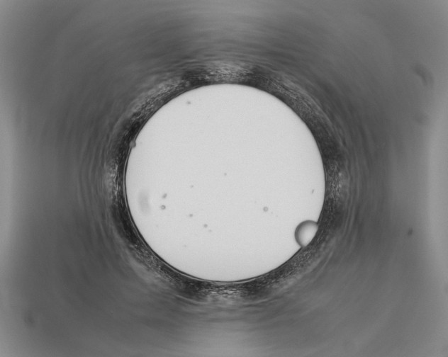 X0000113040599200909241436