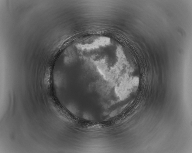 X0000113040600200909241436