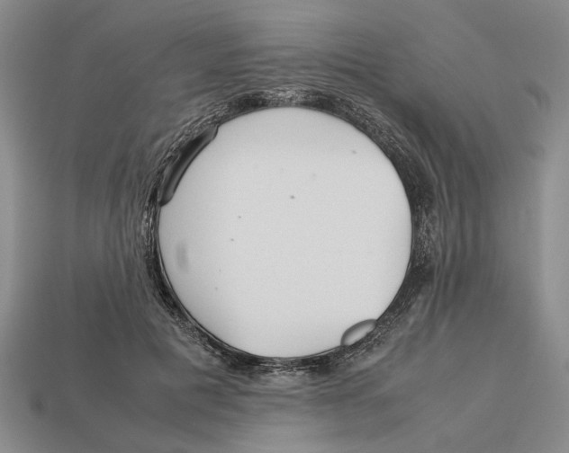 X0000113040601200909241436
