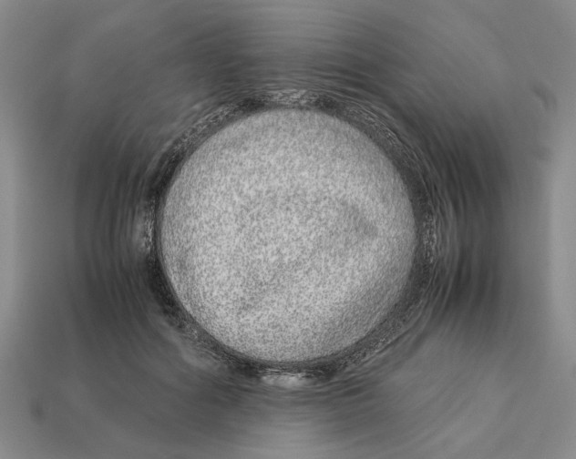 X0000113040602200909241436