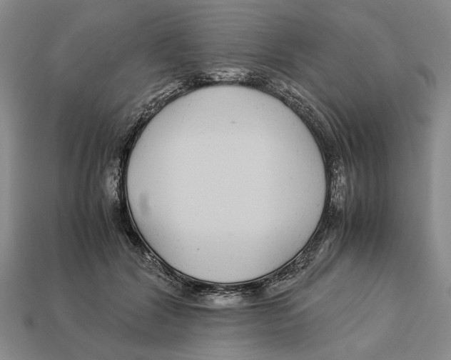 X0000113040604200909241436