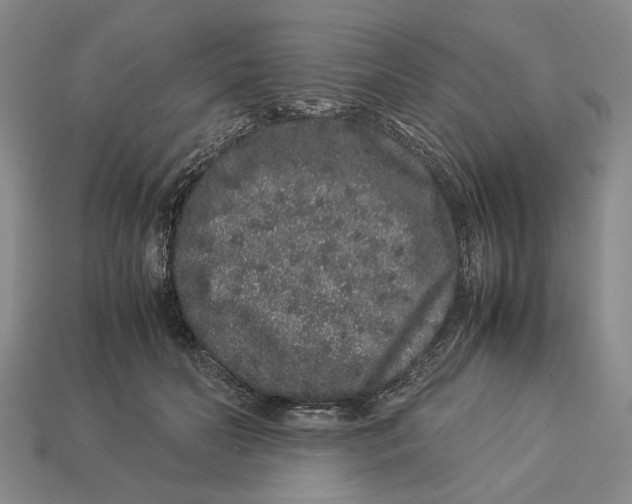 X0000113040606200909241436