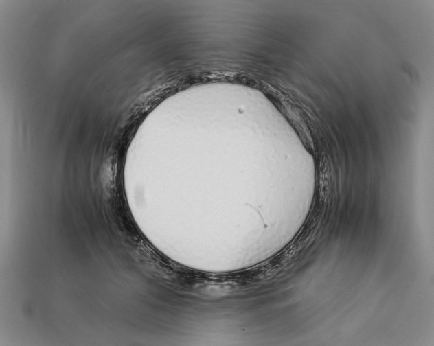 X0000113040608200909241436