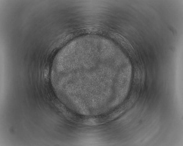 X0000113040610200909241436