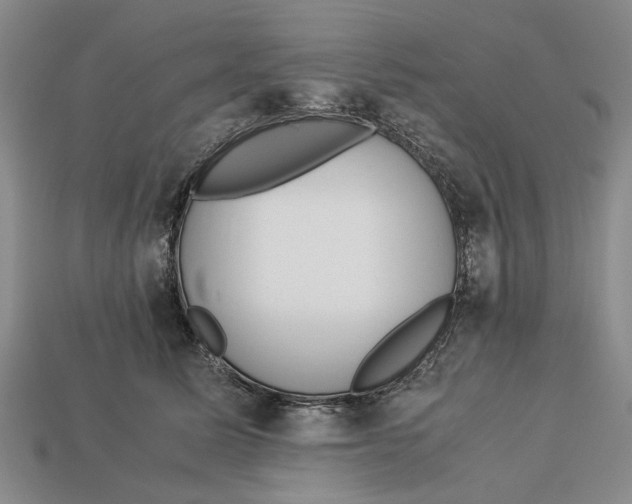 X0000113040611200909241436