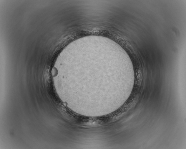 X0000113040612200909241436