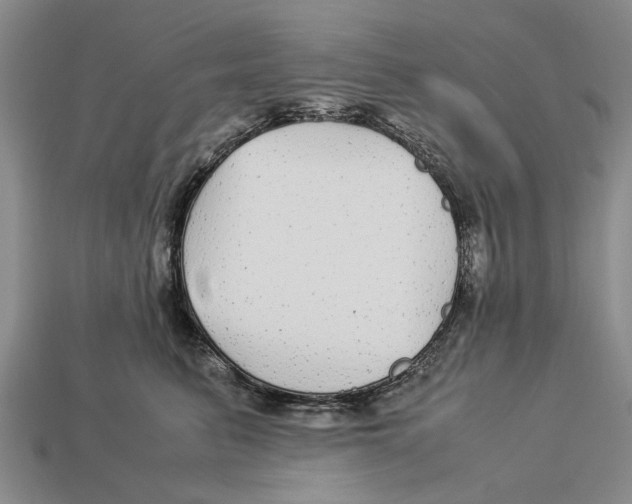 X0000113040615200909241436