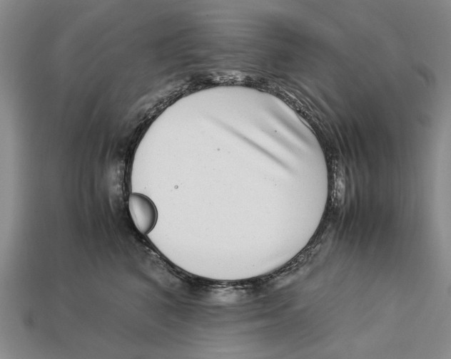 X0000113040616200909241436