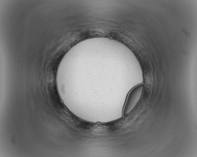 X0000113040617200909241436