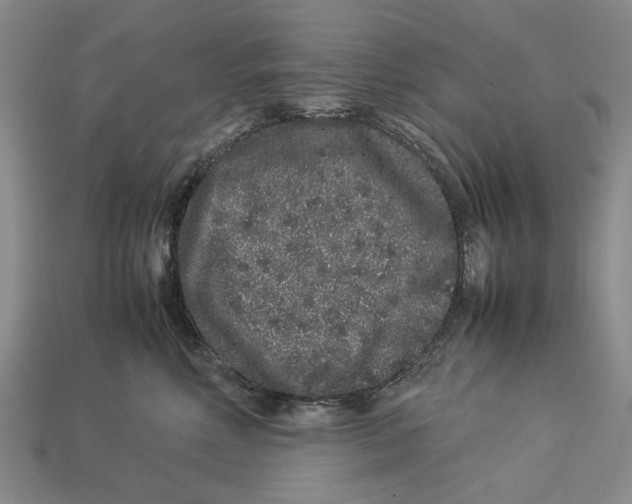 X0000113040618200909241436