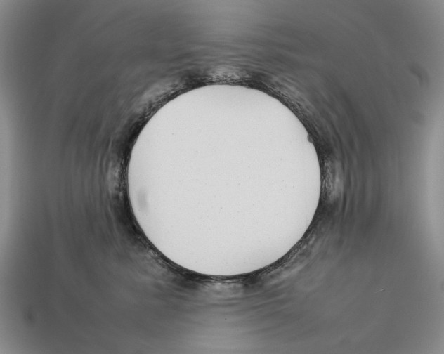 X0000113040619200909241436