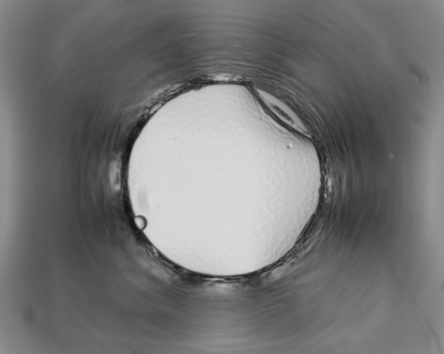X0000113040620200909241436