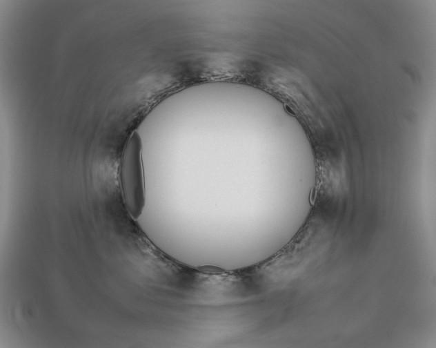 X0000113040621200909241436